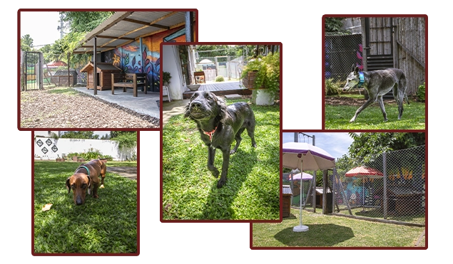 Guardería Orejitas en Casa